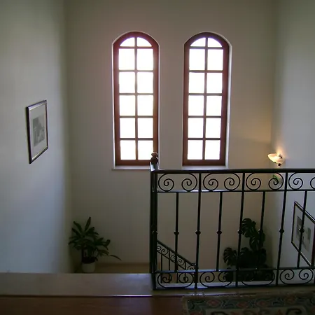 Patio Das Margaridas